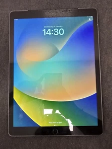 Apple iPad Pro 1st 128GB, Wi-Fi + Cellular (Unlocked), 12.9in - Space Grey A1652 - Afbeelding 1 van 12