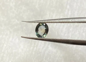 0.46 CTS SAPPHIRE, UNTREATED OVAL CUT 5 X 4 X 2.4 MM, BLUEISH GREEN, TANZANIA - Picture 1 of 4