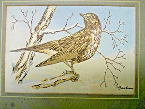 Mistle Thrush Genuine Woven Picture From Cash's Collector Range ~ Jacquard Loom - Picture 1 of 3