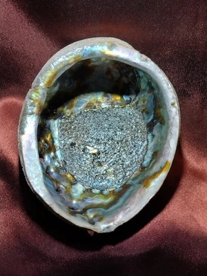 Vintage 80s Large Rainbow Abalone Shell California 6.75" X 5" Smudge Palo Santo  - Image 1 of 4