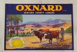 LABEL Oxnard Lemons Citrus Ventura County California - Picture 1 of 1