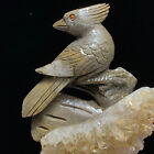 Les spécimens minéraux en cristal naturel quartz sont des oiseaux sculptés à la main. Boutique. Cadeau.