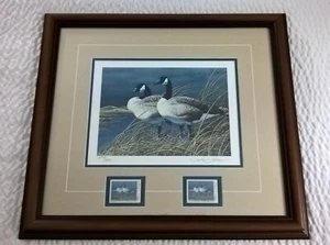 Neal Anderson Art Print 1991-92 Nebraska Waterfowl Stamp Framed Geese Wildlife - Picture 1 of 17