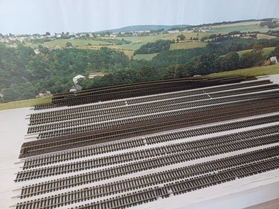 Roco H0 4400 FLexgleis 42200 Gleismaterial Konvolut - Bild 1 von 4