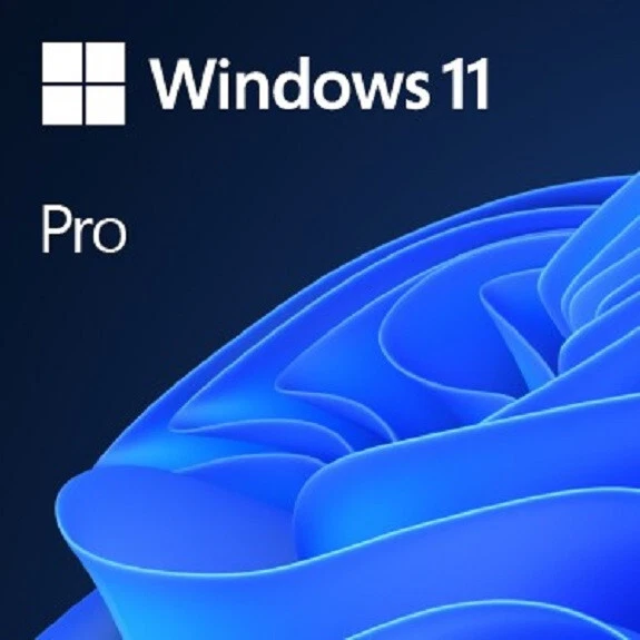 Microsoft Windows 11 Pro Betriebssystem (FQC-10534)
