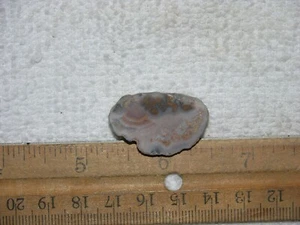 Laguna agate geode cut and polished Mexico 1/2 x 1 inch G254 - Picture 1 of 1