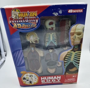 4D Human Anatomy Cranial Nerve Skull Anatomy Model 39 Parts Stand Guide NEW 2005 - Foto 1 di 7
