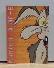 Warner Bros Looney Tunes Wile E Coyote Orange Advertisign Hard Paper Post Card