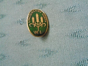 OLDER LINCOLNSHIRE NORTH WI WOMENS INSTITUTE - ENAMEL PIN BADGE - LEWIS - Picture 1 of 2