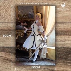 FOTO (STAMPA ULTRACHROME OPACA) SABER LILY FATE (A) - DOMADRAGHI COSPLAY - Foto 1 di 1