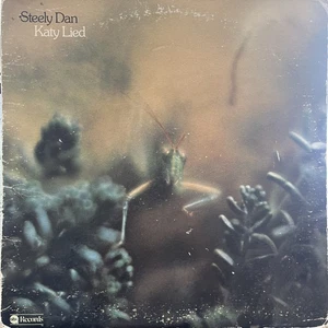 Rock Steely Dan - Katy Lied MCA Records, MCA Records - Picture 1 of 4