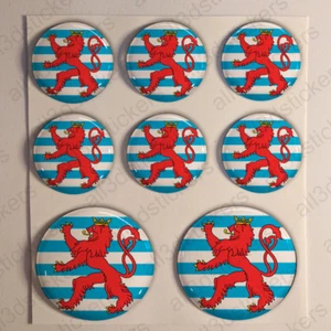 Luxembourg Stickers Cockade 3D Sticker Roundel Resin Domed Adhesive Air Force - Imagen 1 de 1