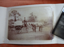 CARRIAGE & HORSES circa 1900 ORIGINAL VINTAGE PHOTOGRAPH & GLASS NEGATIVE 6 x 4