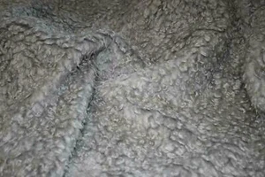 CURLY Teddy Faux Fur Fabric Material - SILVER GREY - Picture 1 of 1