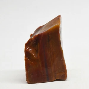 145ct Red Rainbow Petrified Wood Rough Natural Mineral Fluorescent Stone Arizona - Picture 1 of 8