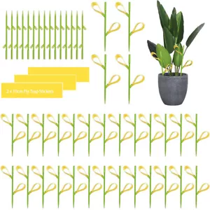 20X Sticky Fly Trap Paper Fruit Fungus Gnat Flies Insect Killer Indoor Outdoor - Picture 1 of 10