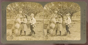 Photo STEREO Vintage L'ours Molly par R.Y.Young 1897 Albumine print - Imagen 1 de 1