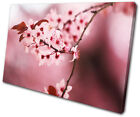 Flowers Flower Cherry Blossom Tree Floral SINGLE CANVAS WALL ART Picture Print