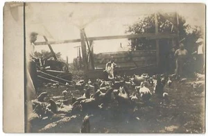 Detroit Michigan MI Postmark ~ Farm Scene With Chickens ~ RPPC Real Photo 1909 - Picture 1 of 2