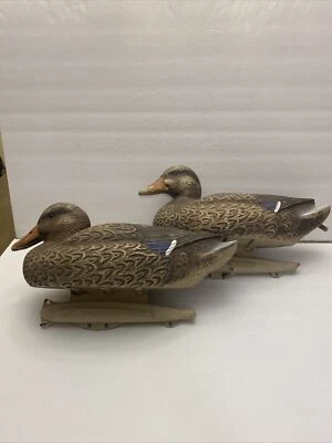 Flambeau Storm Front Classic Mallard Hen Decoy Set Of 2 - Image 1 of 4