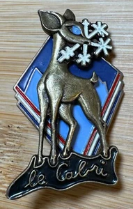 MÉDAILLE INSIGNE DE SKI.  LE CABRI. ESF  (1271) - Picture 1 of 2