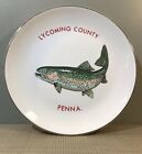 Assiette à poisson garnie d'or plume du comté de Lycoming truite de fontaine - Pennsylvanie 