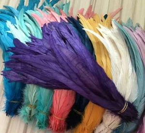 piume di gallo coda,20pz lunghezza 40-45cm degorazione capello carnevale - Imagen 1 de 11