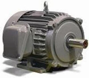 Motor eléctrico TECO NP0024 2HP 1800RPM 145T TEFC 230/460V NUEVO INVENTARIO - Imagen 1 de 1