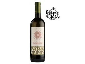 FATTORIA CORONCINO IL CORONCINO 2020 VINO VERDICCHIO CLASSICO SUPERIORE JESI  - Bild 1 von 1