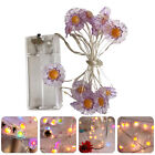  Led Christmas Lights Lighted Window Decorations Indoor Daisy String