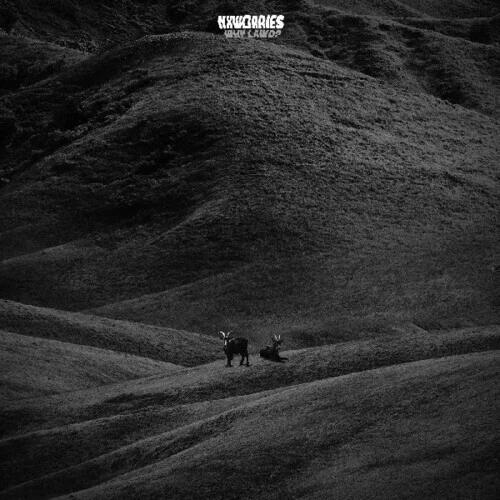 Why Lawd? by Nxworries (CD, 2024)