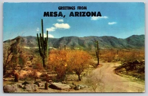Postal saludos desde Mesa Arizona Desert Roadway vista panorámica cactus - Imagen 1 de 2