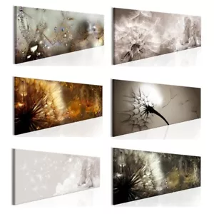 Pusteblume Löwenzahn Pflanzen VLIES LEINWAND DEKO BILDER WANDBILD XXL WOHNZIMMER - Bild 1 von 43