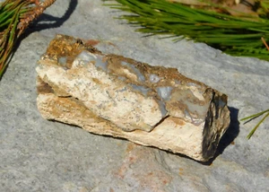 Petrified Wood Fossil Log Specimen 348g from Wyoming for Lapidary and Collection - Picture 1 of 17