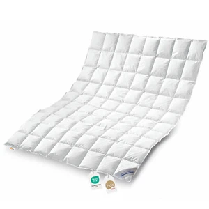 Daunenpass Sommer Daunen Bettdecke Sommerbett Sommerdecke 155x220 100% natur 60° - Bild 1 von 9