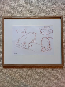 Framed ink sketches of PIGS - Annabel Gosling - Picture 1 of 4