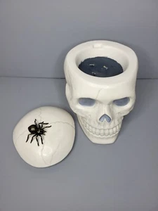 Homeworx by Harry Slatkin 14oz Spider Cider Skull 3 Wick Candle - NWOB - Picture 1 of 10