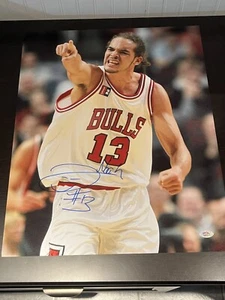 Joakim Noah signed Autogramm 16x20 Foto Bulls PSA/DNA COA - Bild 1 von 4