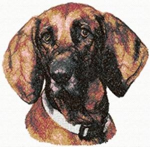 Embroidered Sweatshirt - Redbone Coonhound AED16342 Sizes S - XXL