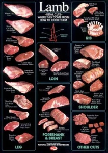 Lamb Cuts Cuts Of Meat Chart Poster 24inx36in - Picture 1 of 1