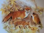 Decorative plate Wildlife of Britain Foxes by Susan Beresford, 15 cm, wonderful 