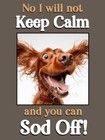 Red Irish Setter Dog Funny Gift Keep Calm Crazy Dog cute pet Fridge Magnet