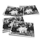 4x Rectangle Stickers - BW - Cute Garden Kitten Twins #41569