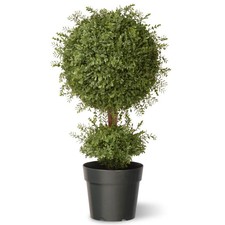 30-inch Mini Tea Leaf 1-Ball with Growers Pot
