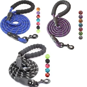 Guinzaglio per Cani Resistente Riflettente 5 Piedi con Manico Imbottito in Schiuma Nylon Guinzaglio per Animali Domestici - Foto 1 di 10