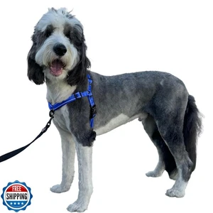 ShawnCo Dream Walk Pro Dog Harness- No-Pull, Comfortable, Adjustable, Easy to - Picture 1 of 5