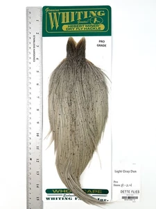 Whiting Farms - Hebert Miner Rooster Cape - Light Gray Dun - Pro Grade #13 - Picture 1 of 1