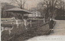 CPA 69 - LYON - PARC DE LA TETE D'OR - LES CERFS - BELLE ANIMATION - 1912