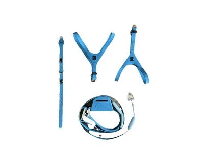 Bonefly Ultra Peacock Harness  Set , Collar , Flexfly Leash , Black Metal Bone  - Image 1 of 4