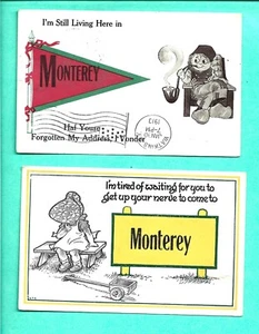 2 Monterey NY Postcards Beaver Dams (Schuyler Co) 1 DPO Discontinued Post Office - Picture 1 of 2